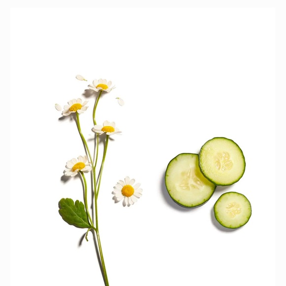 🌿 BEAUTY COUNTER Lid Glow Cream Shadow - EMBER - Picture 2 of 8